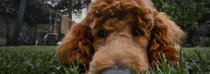 Ein tierischer Anblick