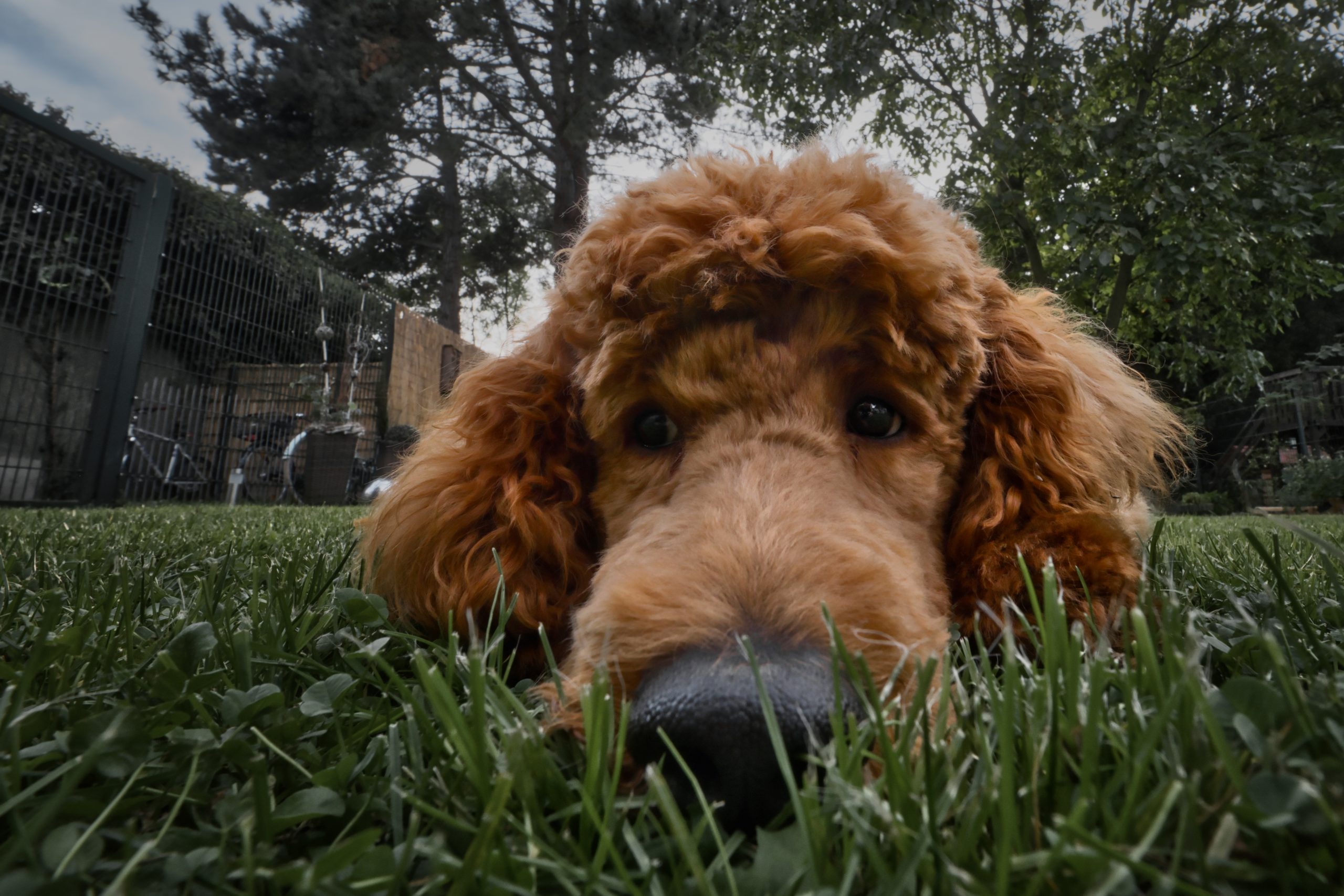 Ein tierischer Anblick
